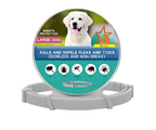 TierSchutz Halsband Hund Katze Zecken Floh 8 Monate