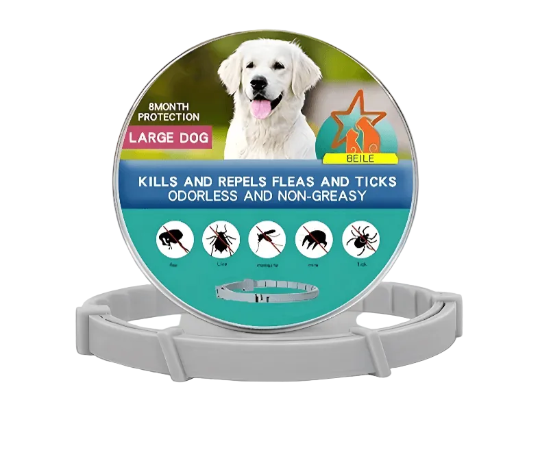 TierSchutz Halsband Hund Katze Zecken Floh 8 Monate