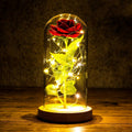 Rosenglanz LED Dekorationsrose unter Glasglocke Geschenkidee