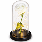 Rosenglanz LED Dekorationsrose unter Glasglocke Geschenkidee