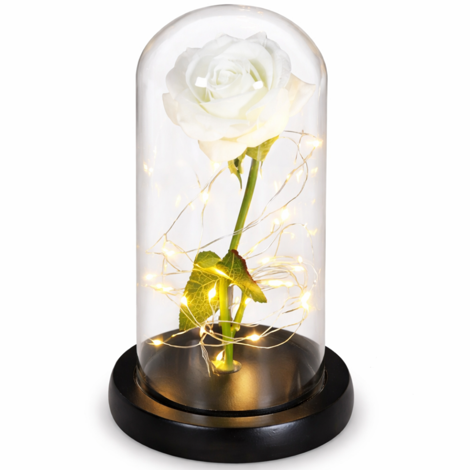 Rosenglanz LED Dekorationsrose unter Glasglocke Geschenkidee