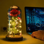 Rosenglanz LED Dekorationsrose unter Glasglocke Geschenkidee
