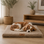 KuschelNest Hundematte mit Waschbarem Bezug und Rutschschutz