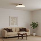 Regulowana LED Lampa sufitowa z obrotowym reflektorem