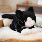 MiauwMaat Plüschkater 53 cm – Kuscheltier für Kinder