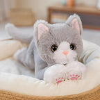 MiauwMaat Plüschkater 53 cm – Kuscheltier für Kinder