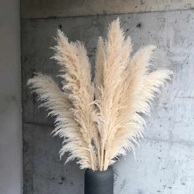 NaturPampas Deko Trawa Suszona Styl Boho 110cm