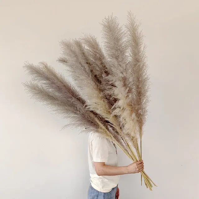 NaturPampas Deko Trawa Suszona Styl Boho 110cm