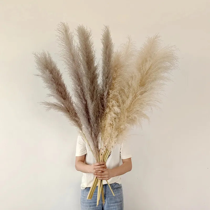 NaturPampas Deko Trawa Suszona Styl Boho 110cm