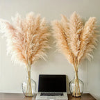 NaturPampas Deko Trawa Suszona Styl Boho 110cm