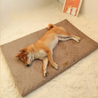 KuschelNest Hundematte mit Waschbarem Bezug und Rutschschutz
