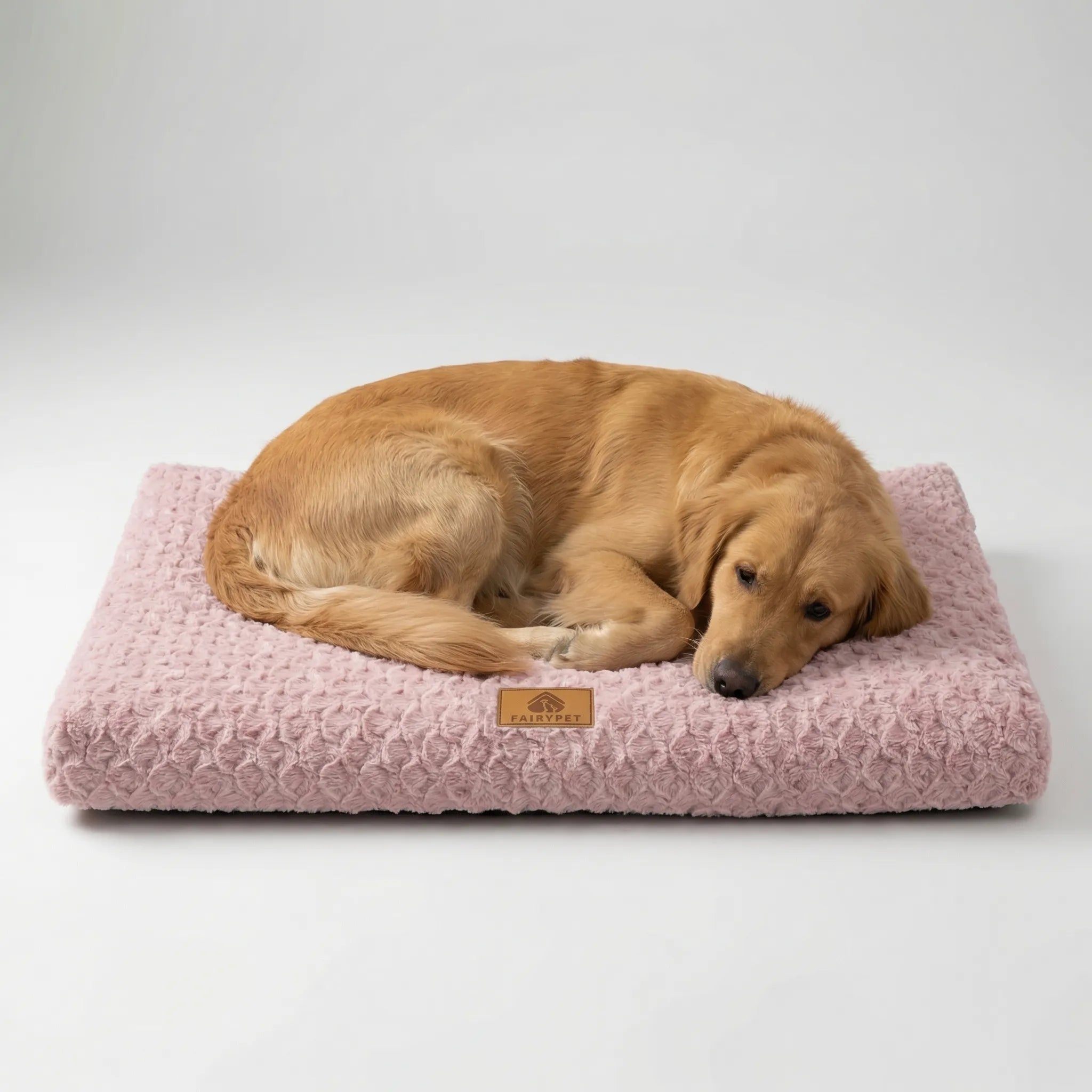 KuschelNest Hundematte mit Waschbarem Bezug und Rutschschutz