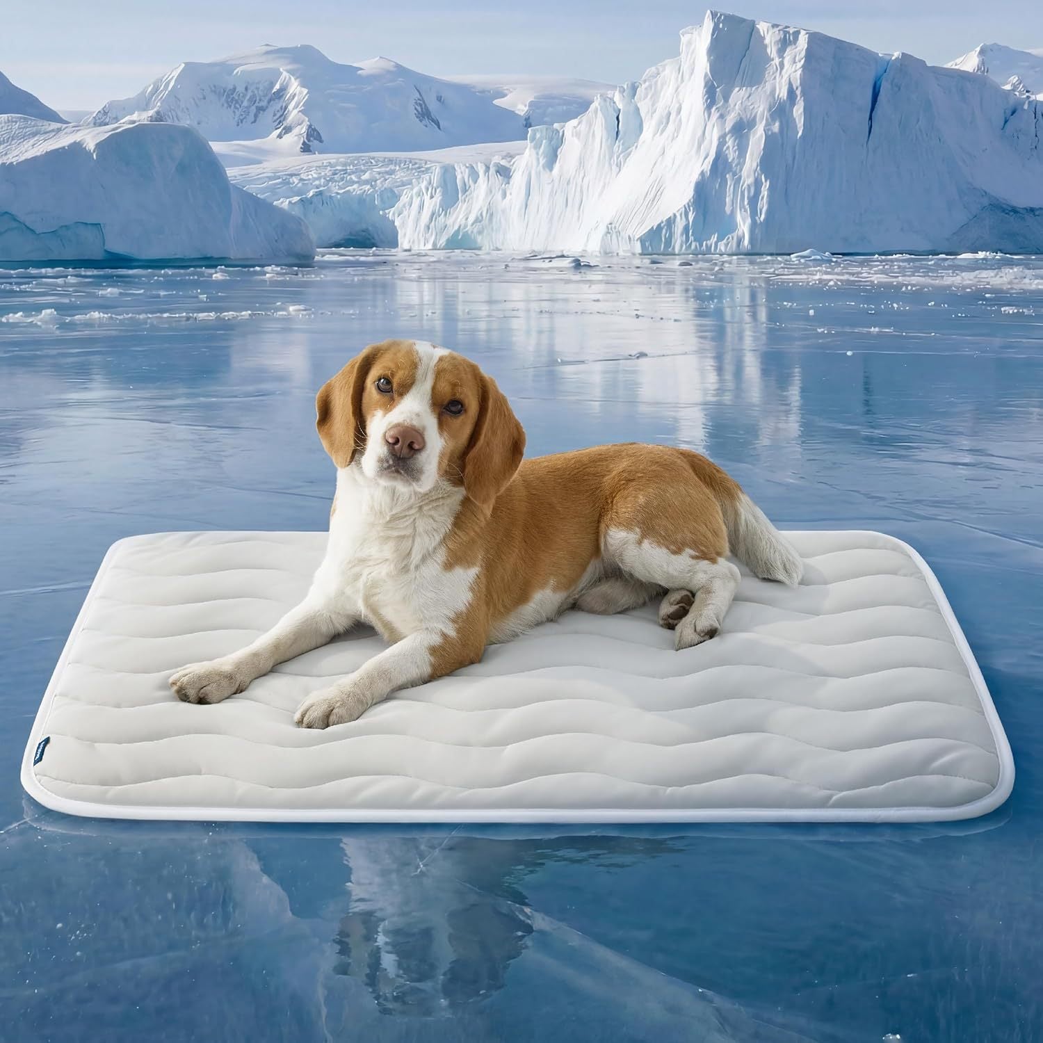 ComfortNest Ortopædisk hundeseng