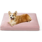 RuhePfote Hundebett
