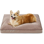 RuhePfote Hundebett