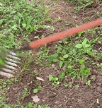 GartenPro Bodenrechen – Stalowy grabi do chwastów do pracy w ogrodzie