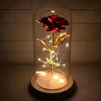 GoldFlora LED Rosenkugel unter Glasglocke dekoratives Geschenk